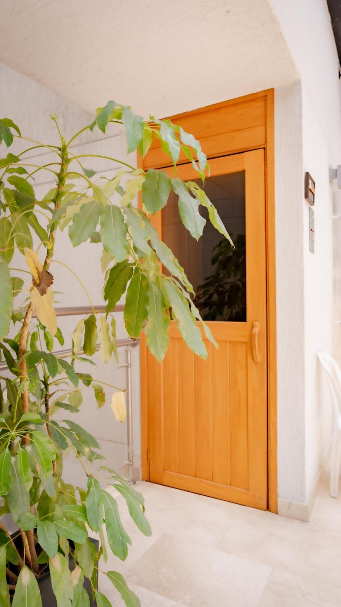 Hotel Madeiro Μεντεγίν Εξωτερικό φωτογραφία